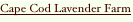 shapeimage_1_link_10